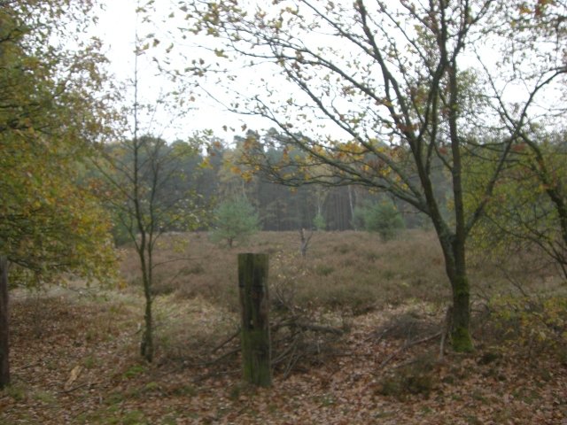 CTF Celle Strecke 043